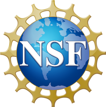 NSF logo image